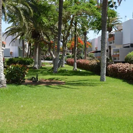 Costa Del Silencio Primavera * 拉斯加莱塔斯