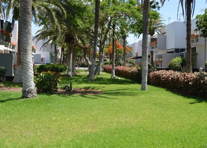 Costa Del Silencio Primavera * Las Galletas